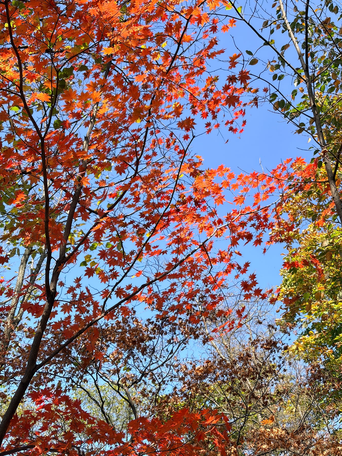 抬头，是晴空