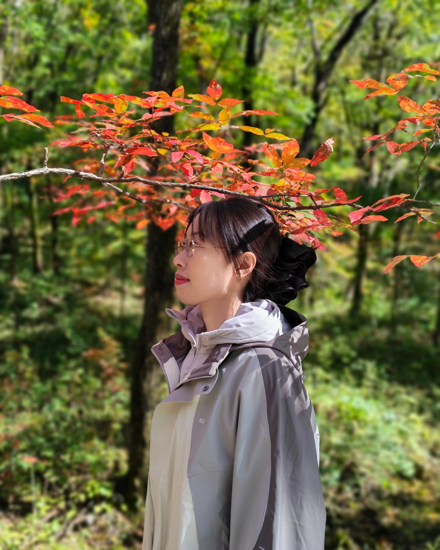 蕾蕾